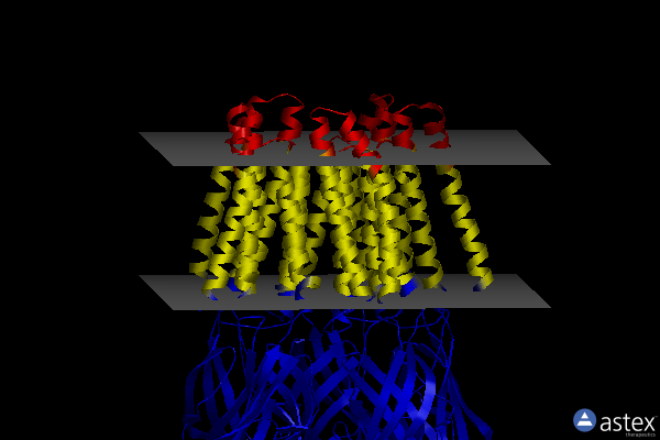 Membrane view of 5v6n