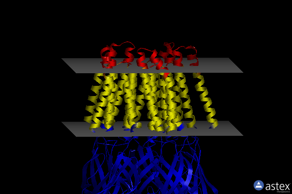Membrane view of 5v6o