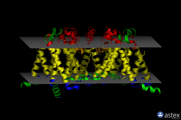 Membrane view of 5vb8