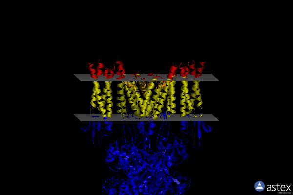 Membrane view of 5vhy