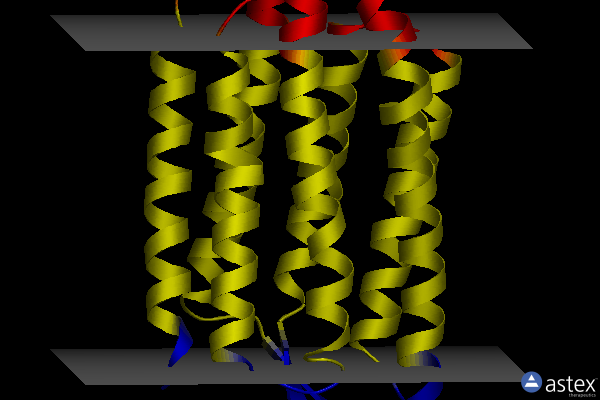 Membrane view of 5vn9