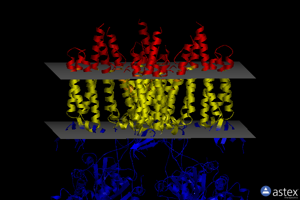 Membrane view of 5vot