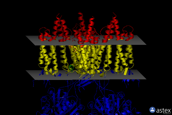 Membrane view of 5vou