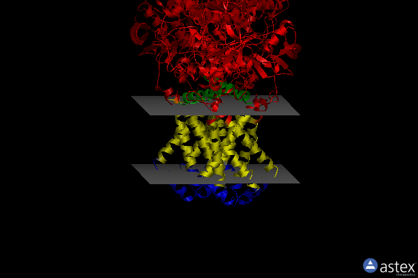 Membrane view of 5vpn
