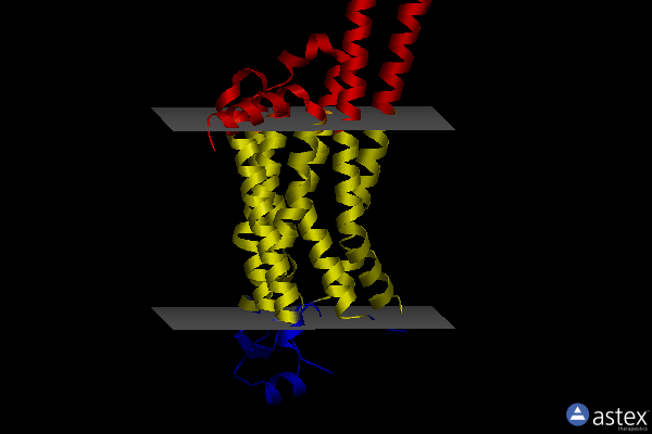 Membrane view of 5vra