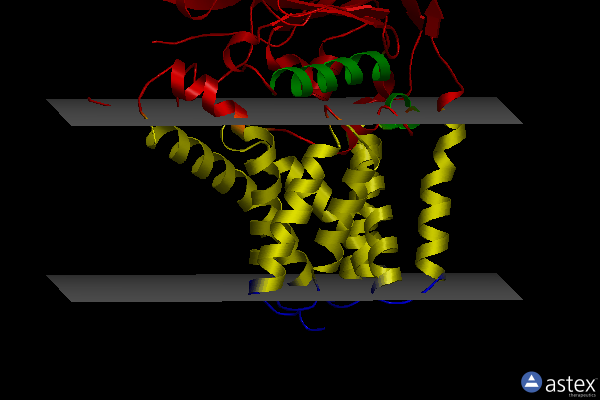 Membrane view of 5vrg