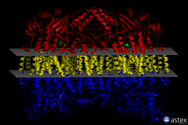 Membrane view of 5w97