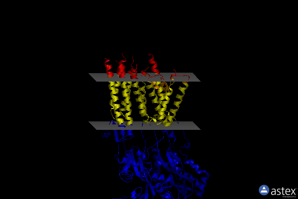 Membrane view of 5wel
