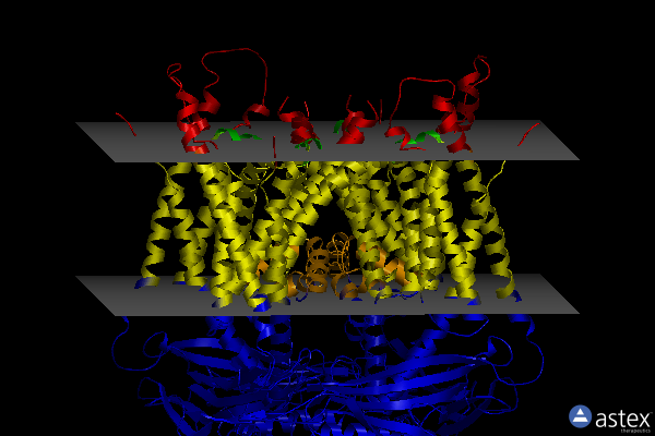 Membrane view of 5wj5