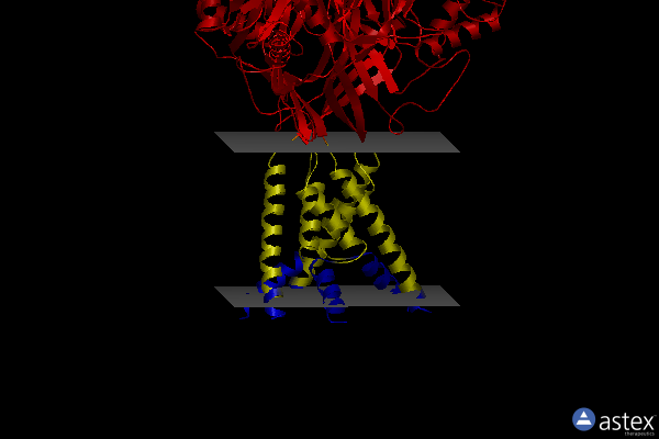 Membrane view of 5wky