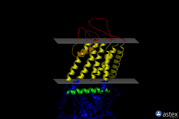 Membrane view of 5wo6