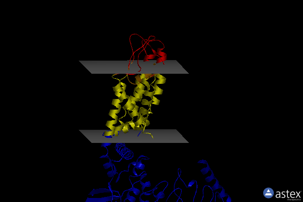 Membrane view of 5wo7
