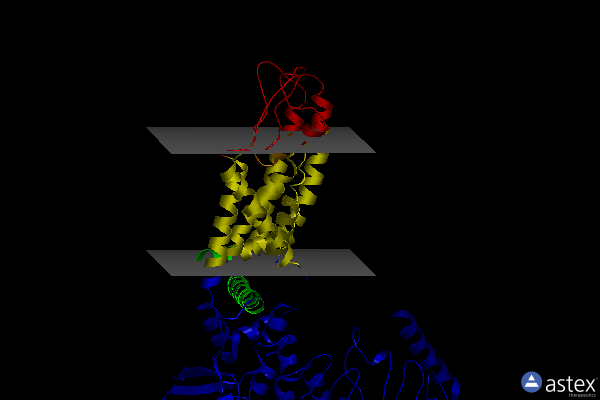 Membrane view of 5wo9