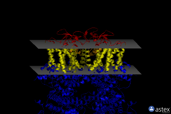Membrane view of 5wp6