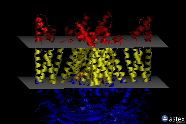 Membrane view of 5wpv
