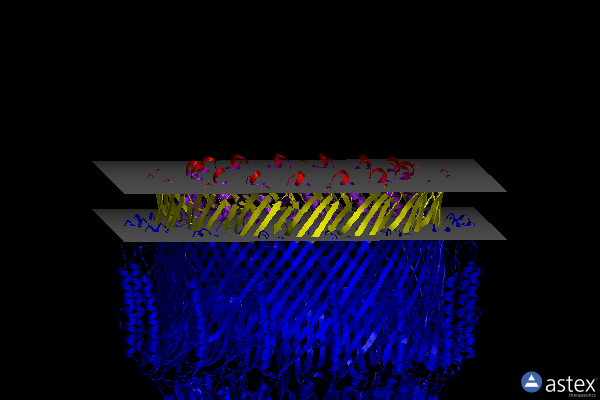 Membrane view of 5wq7