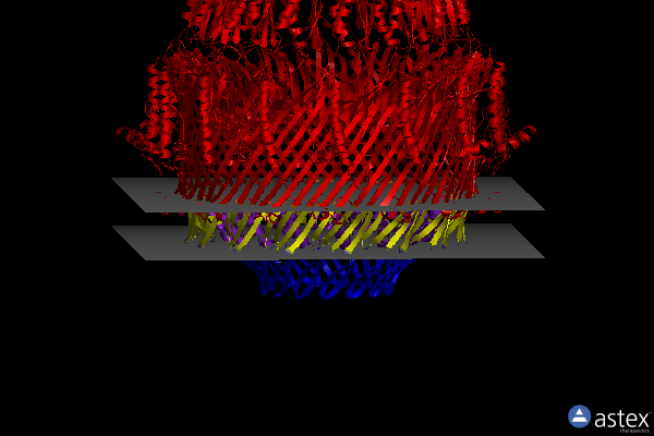 Membrane view of 5wq8