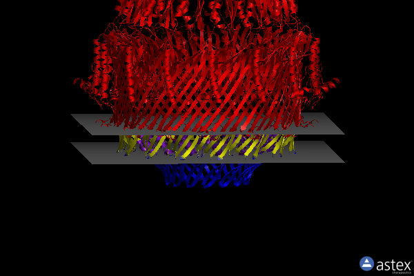 Membrane view of 5wq9