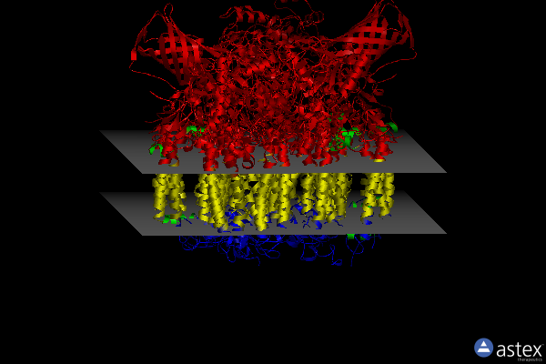 Membrane view of 5ws5