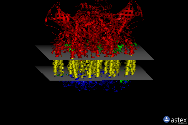 Membrane view of 5ws6
