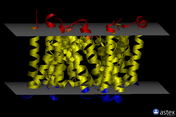 Membrane view of 5wtr