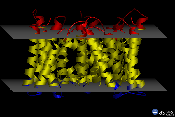 Membrane view of 5wud
