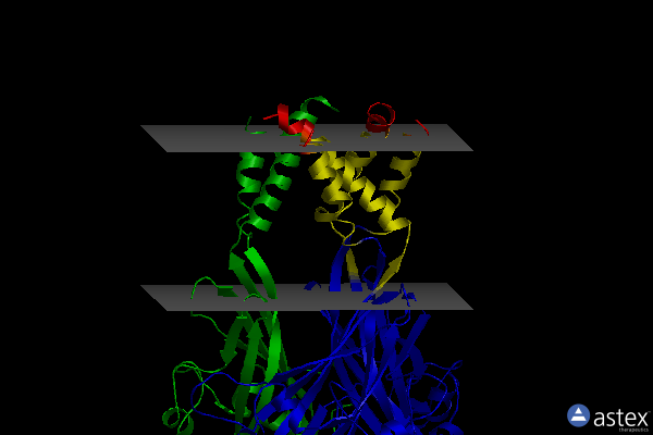 Membrane view of 5wzy