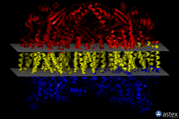 Membrane view of 5x19