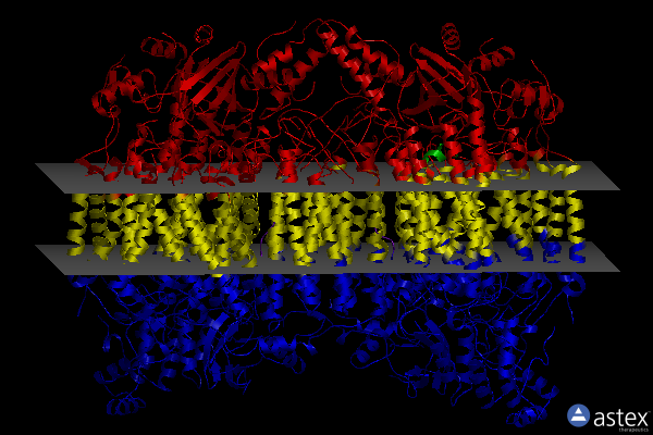 Membrane view of 5x1b