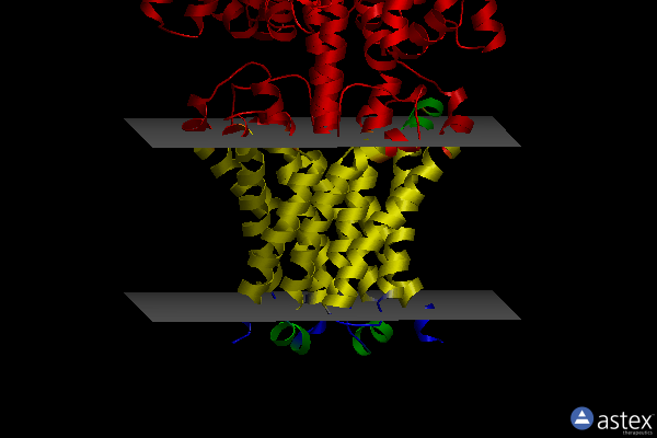 Membrane view of 5x9h
