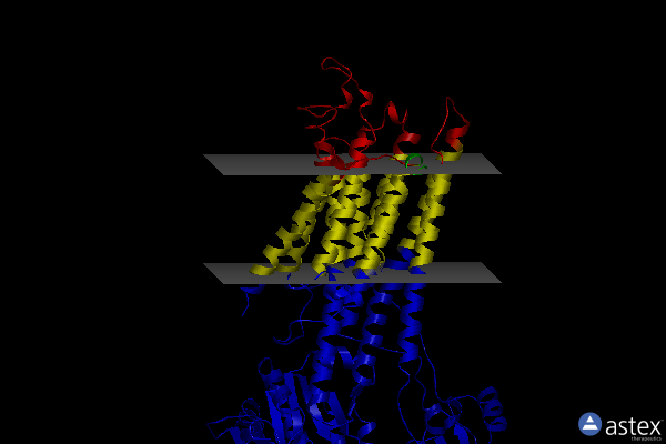 Membrane view of 5xa7