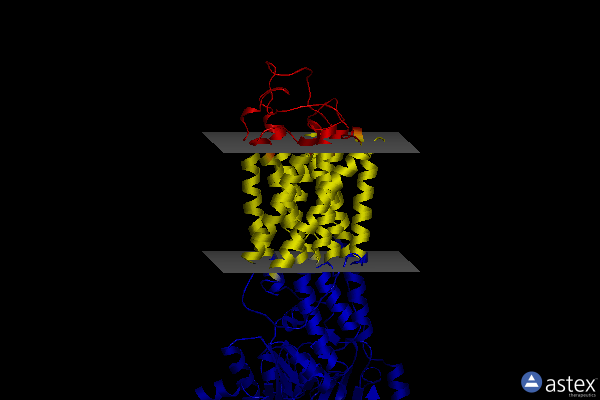 Membrane view of 5xa8