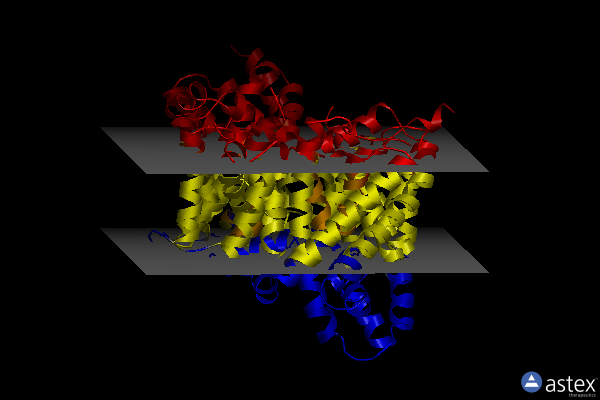 Membrane view of 5xas