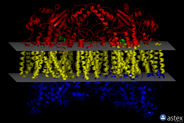 Membrane view of 5xdq