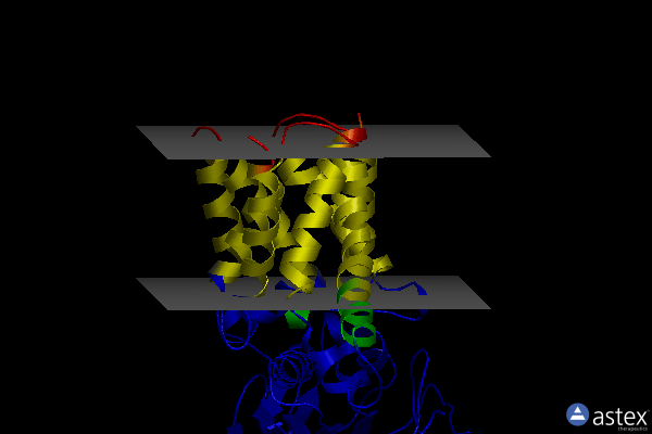 Membrane view of 5xhq