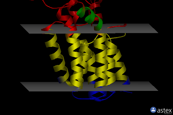 Membrane view of 5xj9