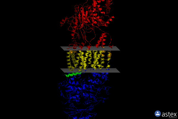 Membrane view of 5xjy
