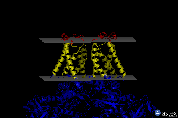 Membrane view of 5xmj