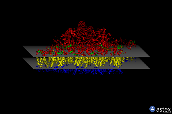 Membrane view of 5xnm