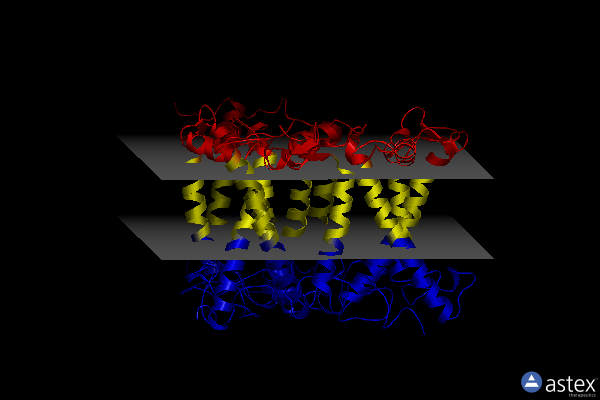 Membrane view of 5xno