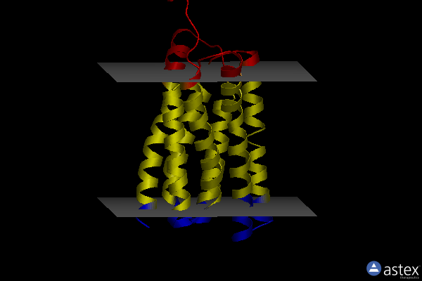 5xpd