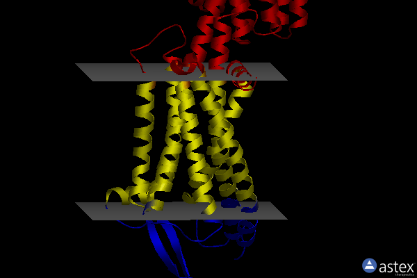 Membrane view of 5xpr