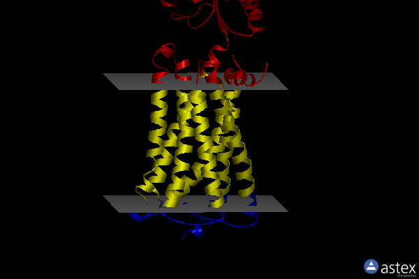 Membrane view of 5xra
