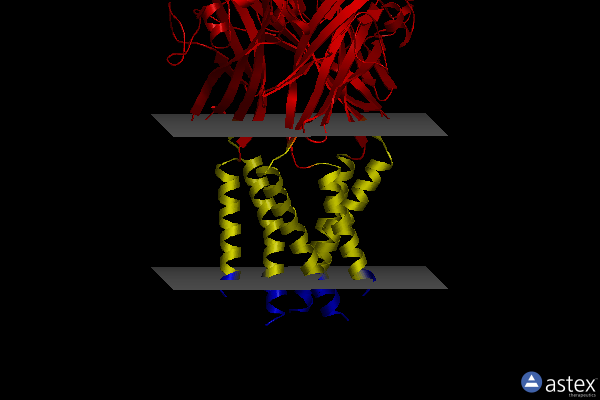 Membrane view of 5xw6