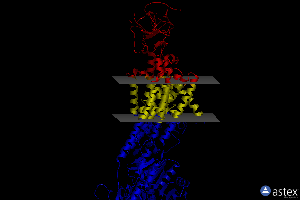 Membrane view of 5y0b