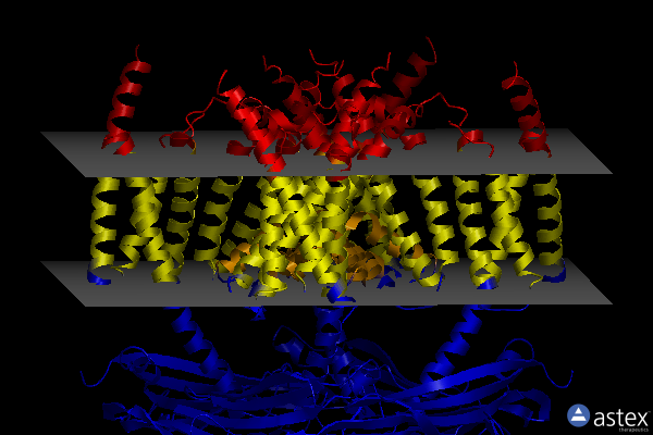 Membrane view of 5ye1