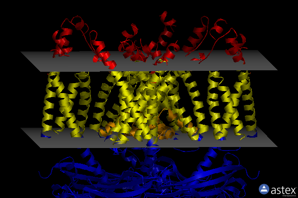 Membrane view of 5ye5