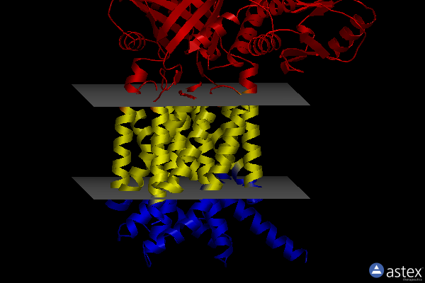 Membrane view of 5yhf