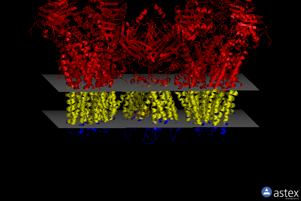 Membrane view of 5ykg