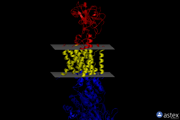 Membrane view of 5ylu